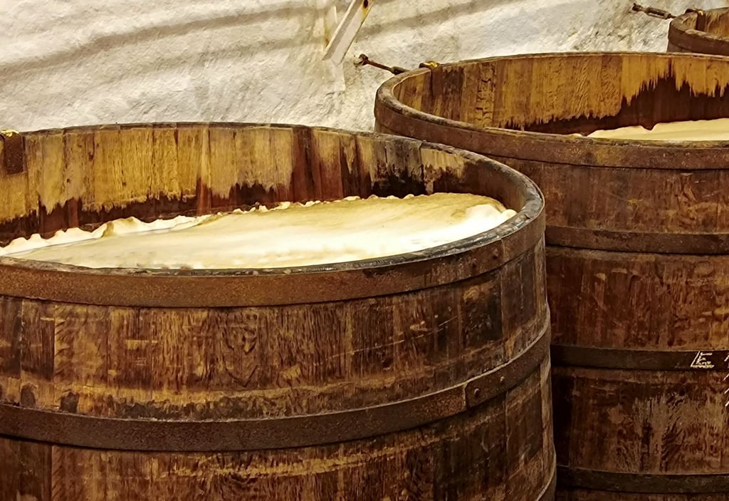 Gärung in offenen Holzfässern: In den Kellergewölben der Pilsner-Urquell-Brauerei werden kleine Chargen des Biers noch immer auf diese traditionelle Weise hergestellt.