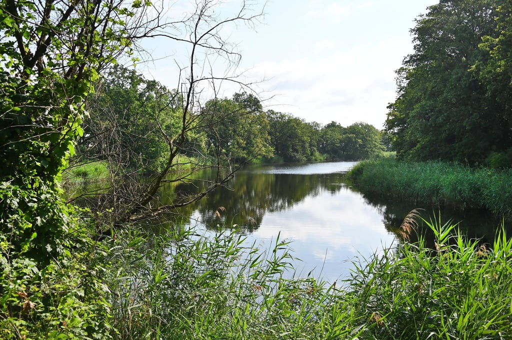 Ein Altarm der Elbe verläuft am Rande der Kreuzhorst in Magdeburg.