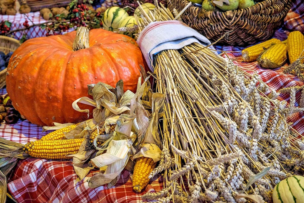 Im Mansfelder Land wird zu Herbstmärkten, Erntedankfesten und anderen Herbstaktionen geladen.