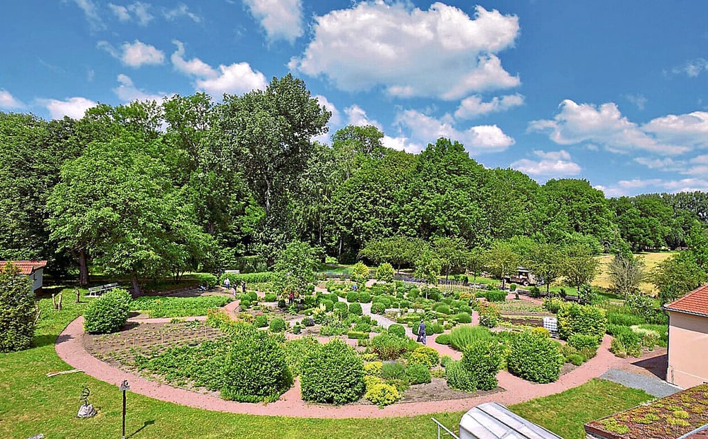 Auch der Kräutergarten wird vom Förderverein gepflegt.