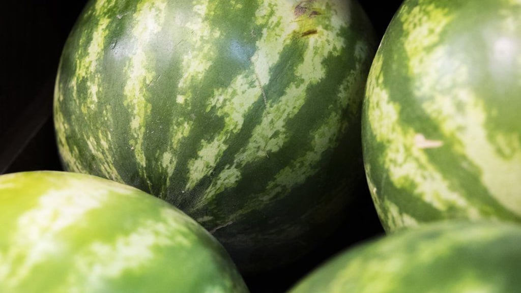 Wassermelonen zu zerteilen kann mühsam sein. Eine Brotschneidemaschine sollten dafür dennoch nicht genommen werden.