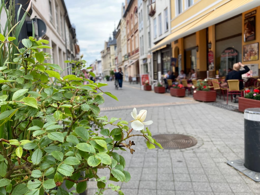 Gastronomie Beliebtes Café in der Innenstadt von Burg bei Magdeburg