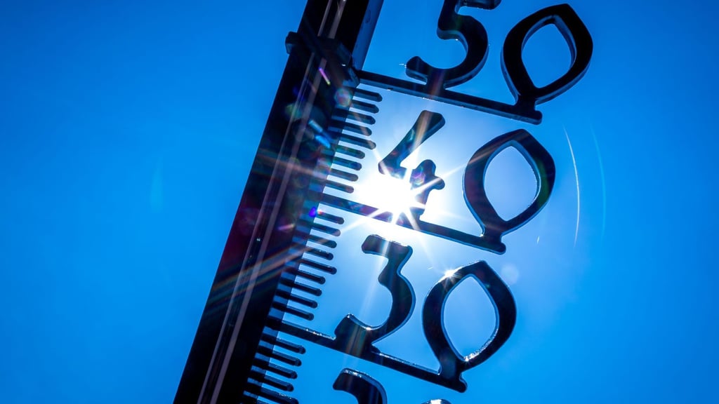 Helle Kleidung, viel trinken, ständiges Lüften - was hilft wirklich gegen die Sommerhitze in Sachsen-Anhalt?&nbsp;