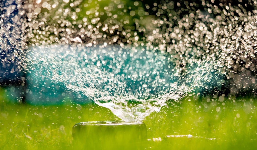 Rasen bewässern wird künftig in Dessau Luxus sein. Denn die Grundwassersituation in der Stadt bleibt angespannt.