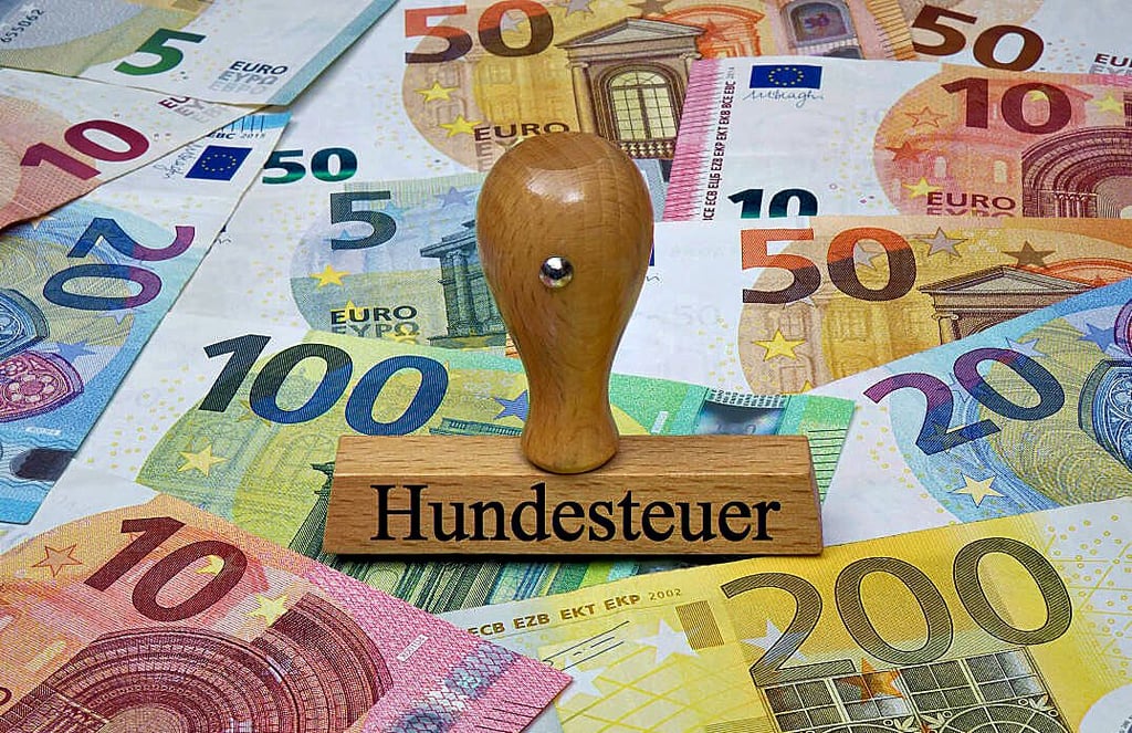 Mit der Erhöhung der Hundesteuer verspricht sich die Stadtverwaltung Mehreinnahmen von etwa 20.000 Euro.
