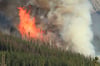 Immer wieder brennt der Wald im Harz. Die Kosten für die Löscharbeiten werden für Wernigerode zu einer immer größeren Belastung.&nbsp;