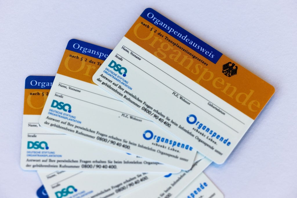 Organspendeausweise liegen auf einem Tisch.