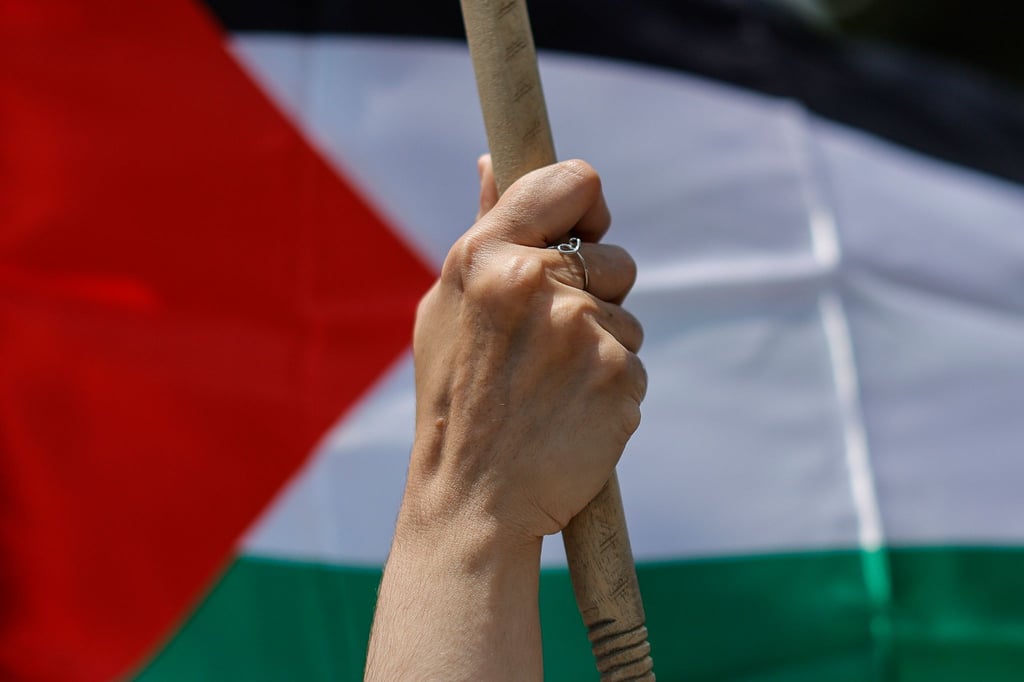 Eine Frau hält ein Stück Holz vor einer palästinensischen Flagge.