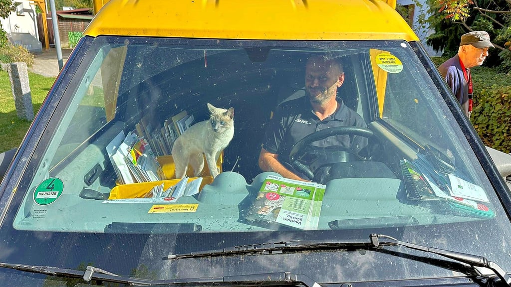 DHL-Fahrer Manuel Stams mit seinem tierischen Beifahrer.