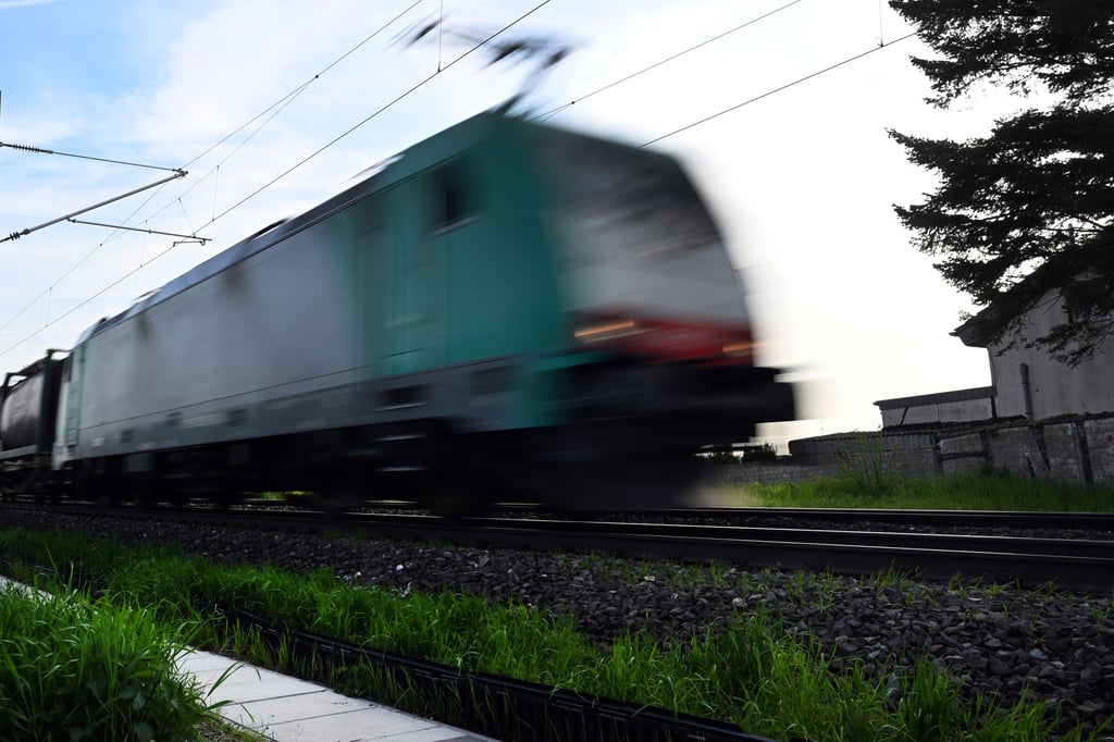 Fünf Jugendliche sorgten am Bahnhof Wernigerode für einen Großeinsatz der Bundespolizei.