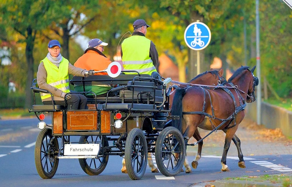 Die Tierschutzorganisation Peta hat den Harzer Landrat aufgefordert, Kutschen – das Foto zeigt eine Ausbildung in Uelzen – im Harzkreis zu verbieten.
