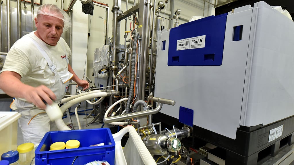 Der Klassiker "Leckermäulchen" läuft durch die Produktion in der Frischli Milchwerk Weißenfels GmbH.