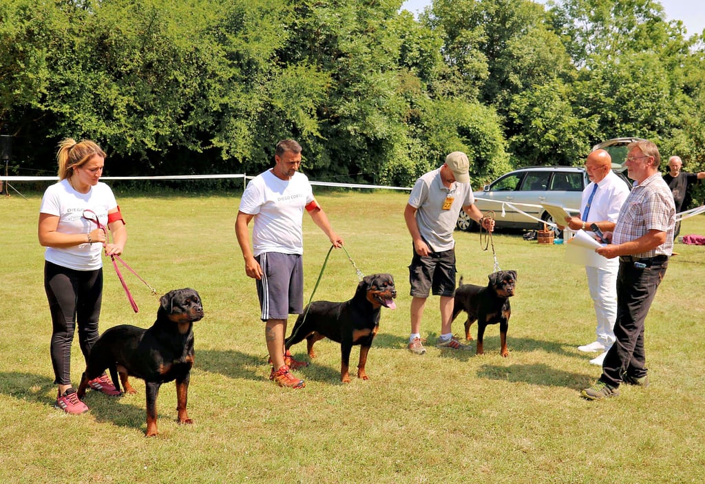 Teilnehmer der 24. Saaletal-Schau der Rottweiler-Züchter in Bad Kösen, hier mit Sonderleiter Dieter Gerlach (r.) vom gastgebenden Bad Kösener Hundesportverein und Zuchtrichter Hans-Jürgen Radtke aus Treuenbrietzen.
