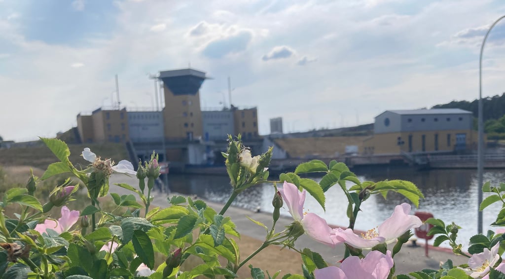 Die Doppelsparschleuse Hohenwarthe kann besichtigt werden.