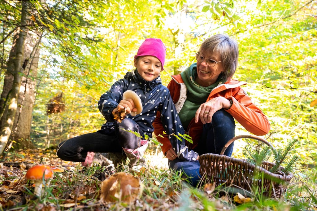 In die Pilze gehen - das gehört für viele zum Herbst einfach dazu. Zum Beispiel, weil sie das aus Kindertagen kennen.