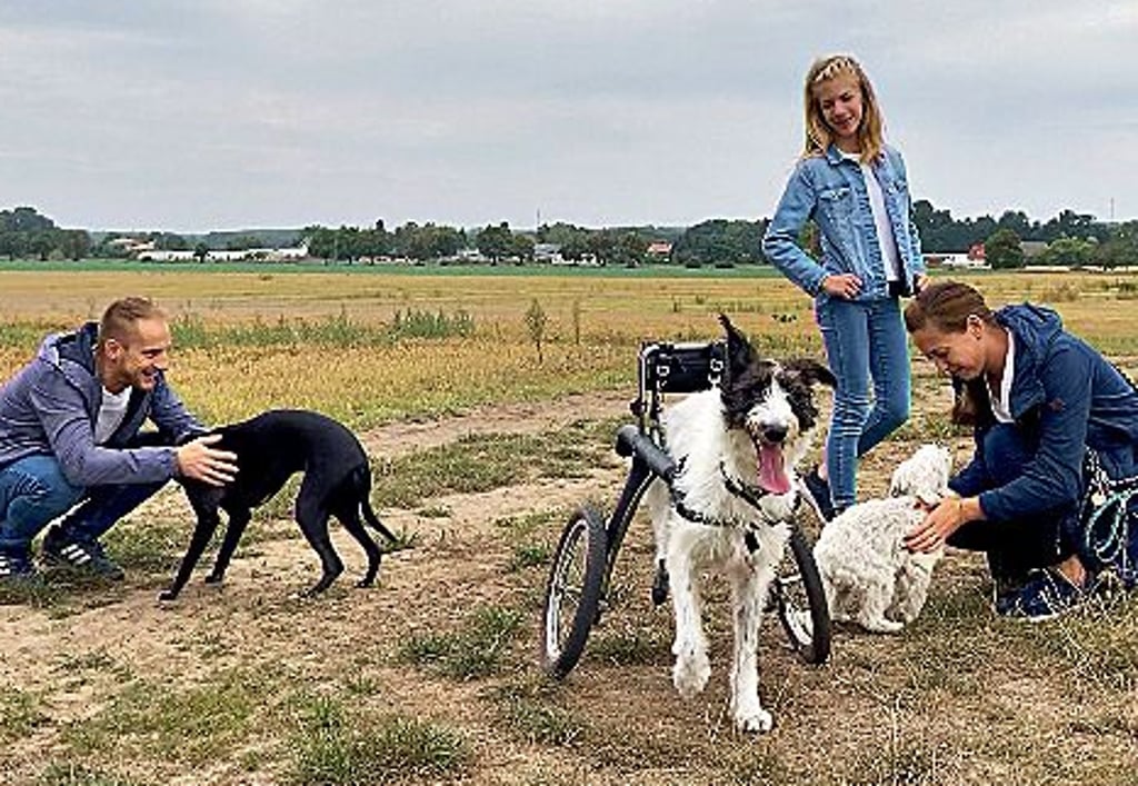 Mario, Claudia und Emilia Alsleben bei einer Ausgehrunde mit ihren Hunden Frieda, Marly und Titus.