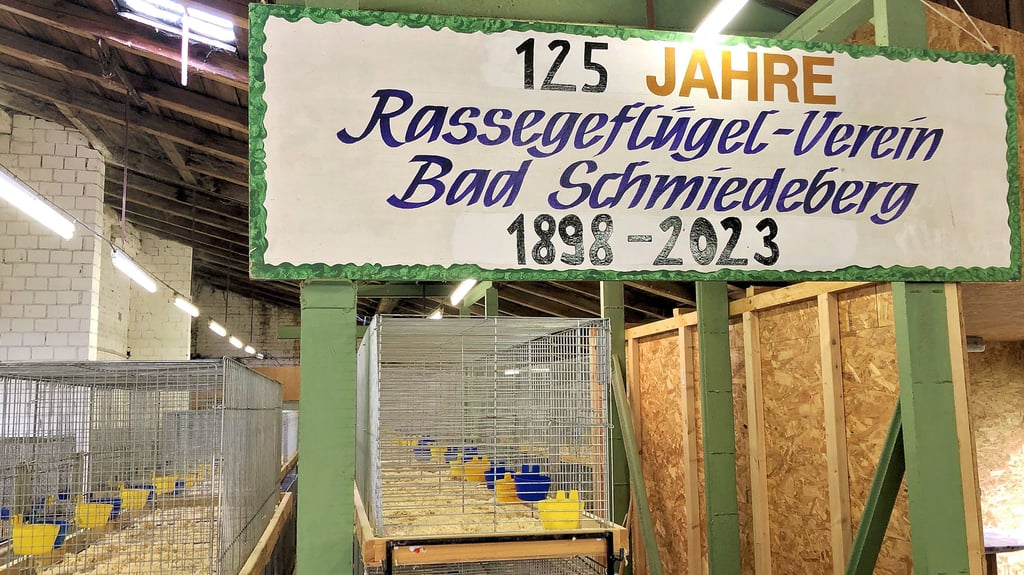 Die Vorbereitungen für die Vereinsschau Ende Oktober in der Alten Ziegelei sind schon weit gediehen.