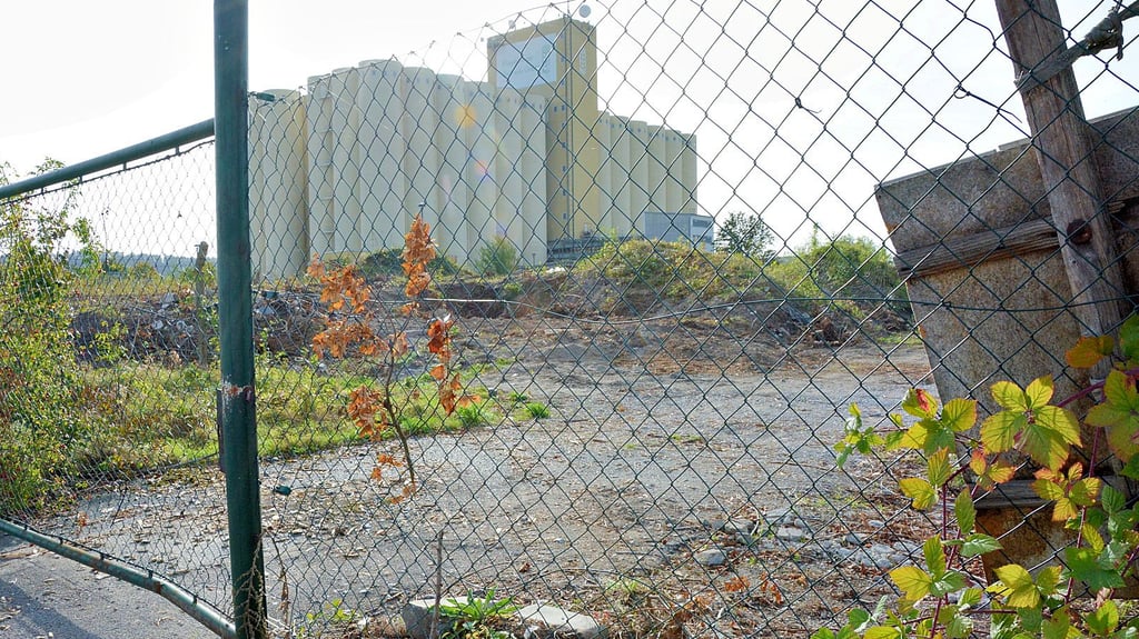 Gegenüber des Hagebaumarktes in Halberstadts Südosten ist diese Fläche abgeholzt worden. Was soll hier entstehen? Es gibt Gerüchte über eine Filiale von Burger King.