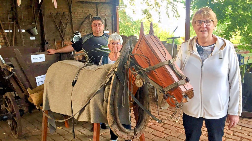 Thomas Juretzki, Renate Kühnemann und Rita Heuke (v.l.n.r.) haben die alte Remise in Frose auf Vordermann gebracht. Prachtstück: ein hölzernes Pferd.