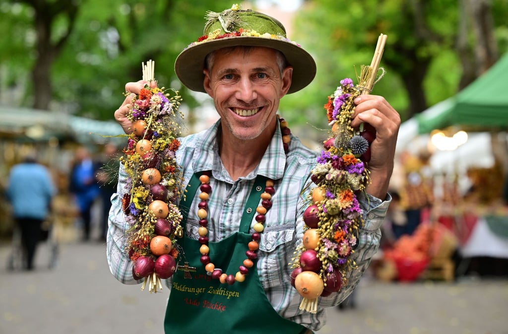 Zwiebelbauer Udo Pötzschke hält Zwiebelzöpfe.
