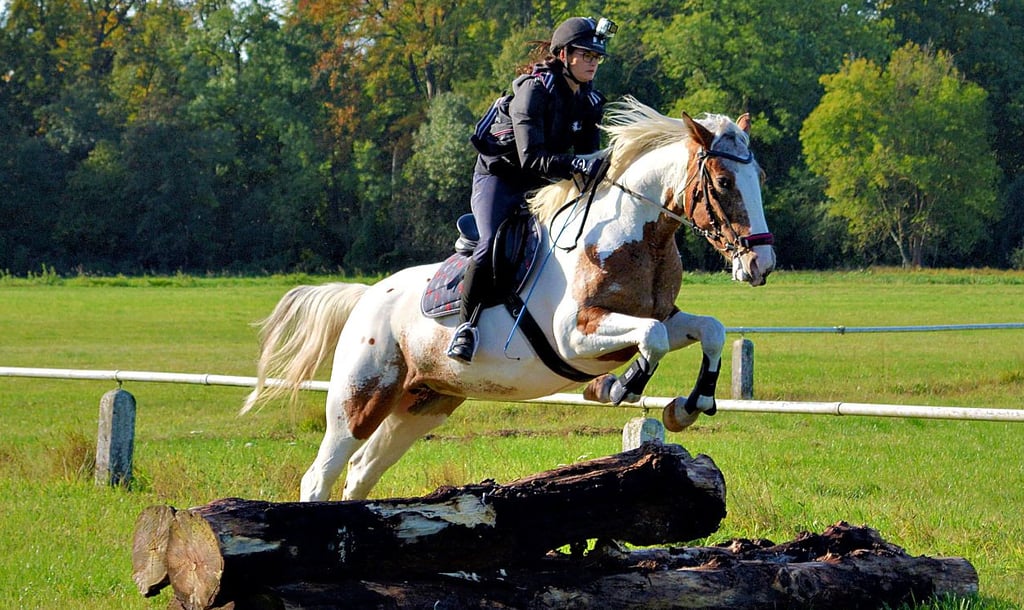 Am Sportplatz nahmen die Reiter die ersten Hindernisse.