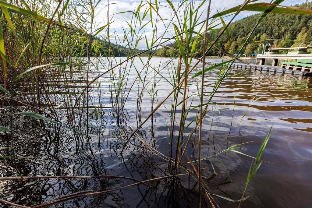 Blick von der Paddlergilde Kaiserslautern auf den See Gelterswoog bei Hohenecken, einem Ortsteil von Kaiserslautern in der Pfalz.