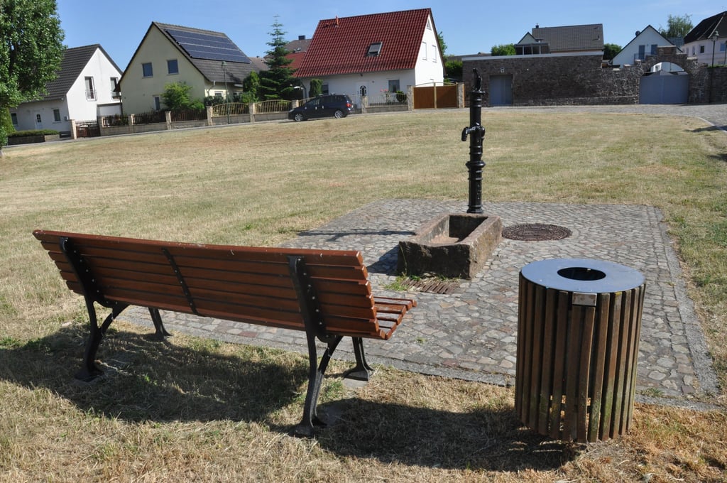 Die Fläche "Am Teich" ist ganz in der Nähe des Weges, der in Magdeburg einen neuen Namen bekommen soll.