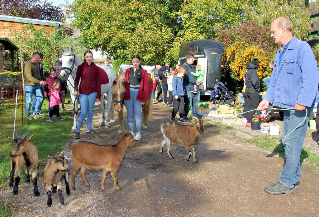 Mitarbeiter Ingo Amelang führt die Ziegen bei der Tierparade an, die Kinder sind begeistert.