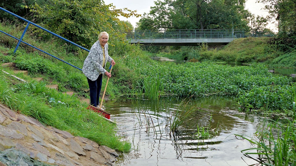Christa Landmann (87) liest den Pegelstand in Wolmirstedt am Lattenpegel der Ohre unterhalb der Elbeuer Brücke ab.