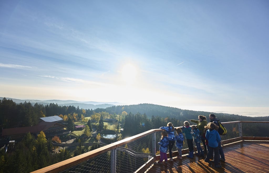 Für alle: Der Waldwipfelweg ist barrierefrei und somit auch Kinderwagen oder Rollstuhl befahrbar.