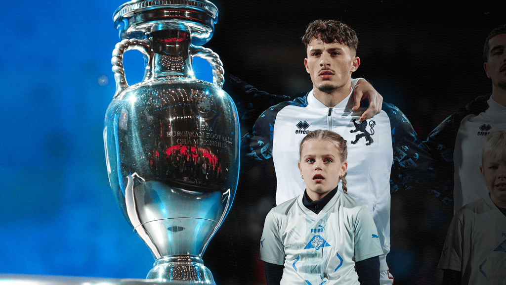 Für FCM-Spieler Eldin Dzogovic ist eine Teilnahme an der Europameisterschaft 2024 in Deutschland noch immer möglich.