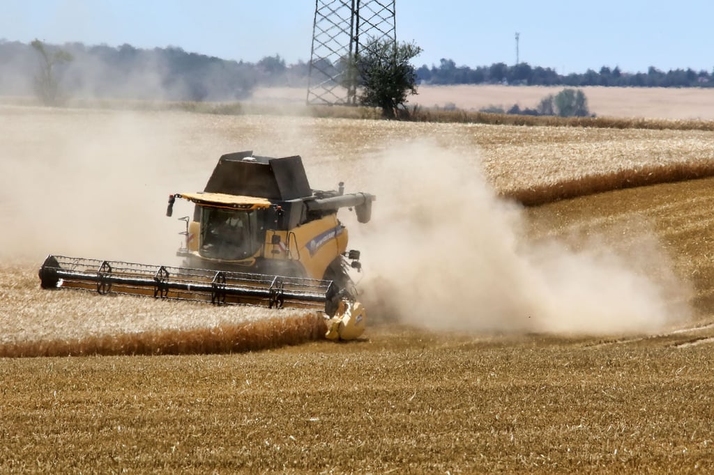 Ein Mähdrescher bei der Ernte.