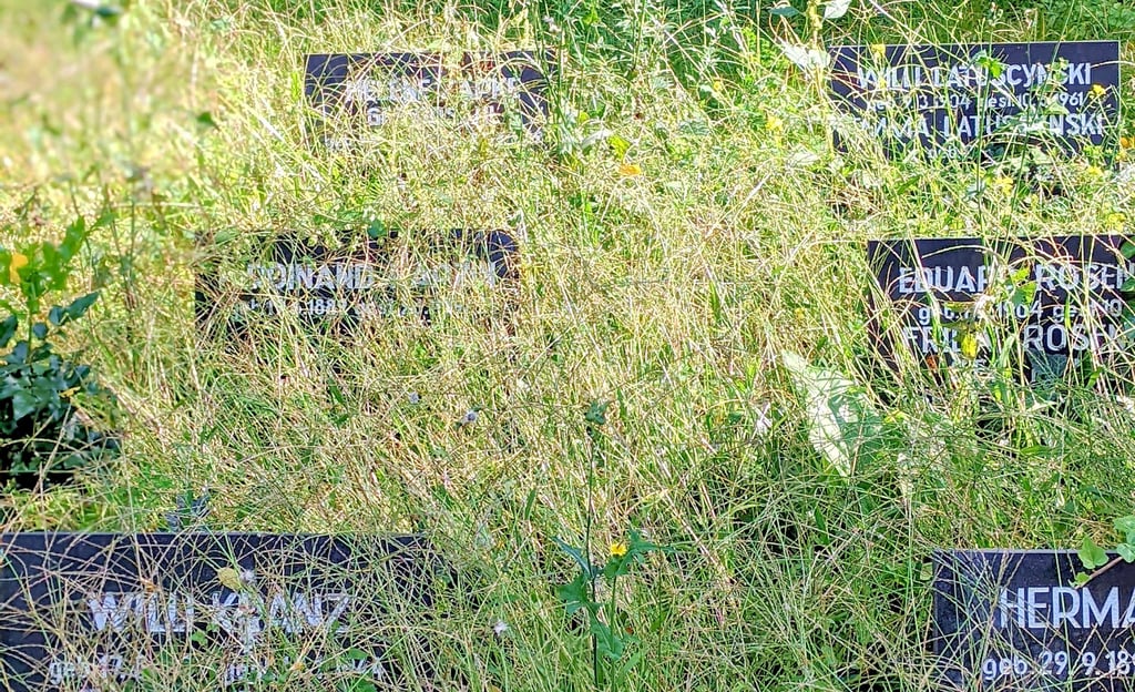 Das Soldatengräberfeld auf Friedhof II in Roßlau hatte lange einen verwahrlosten Eindruck gemacht.