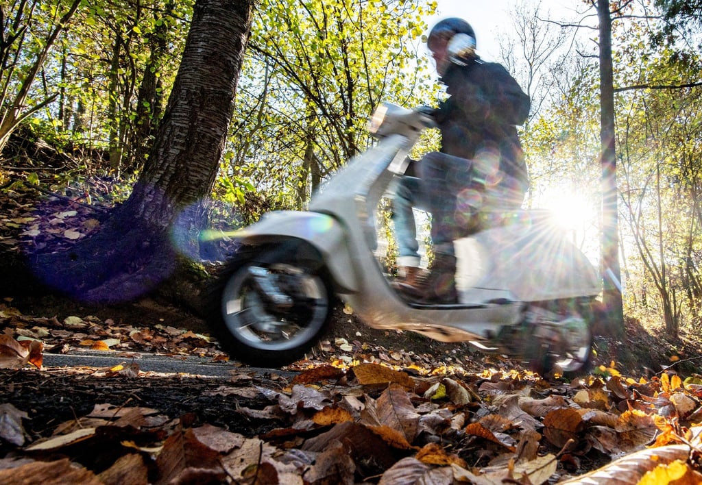 Elektrisch durch herbstliche Gefilde: Mit E-Motorrollern sollte man auf nasser Fahrbahn besonders vorsichtig fahren.