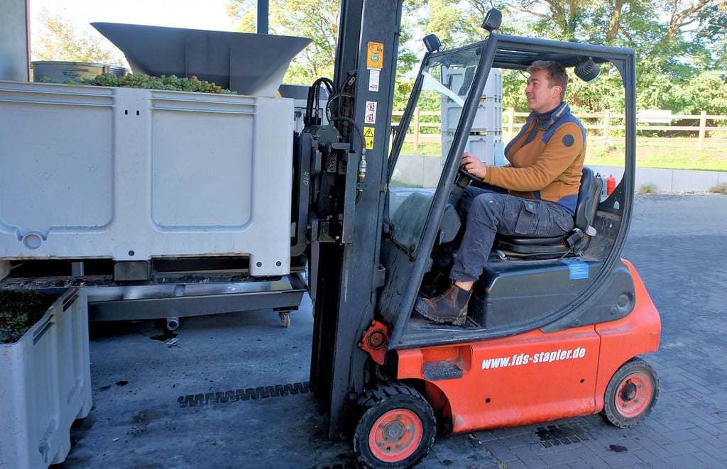 Küfermeister Johannes Zwicker aus Jessen fährt den vollen Bottich mit dem Gabelstapler zur Abbeermaschine.