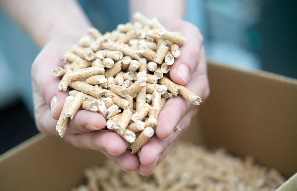 Eine Hand voll Wärme: Die Heizleistung der meisten Holzpellets ist gut.