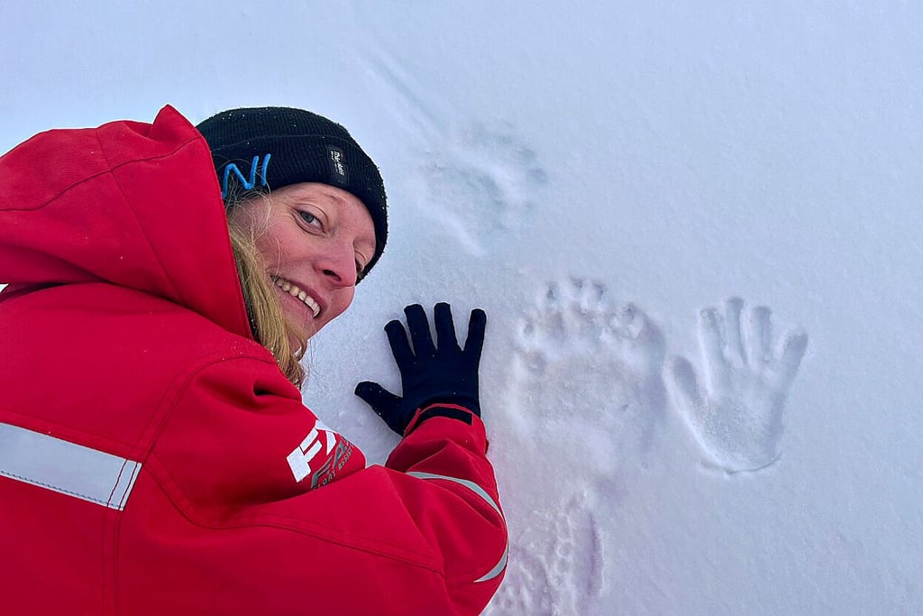 Ein Eisbär war im Camp. Carolin Mehlmann legt ihre Hand neben die Spuren und die ist nicht viel kleiner. Es muss also ein junger Eisbär gewesen sein.