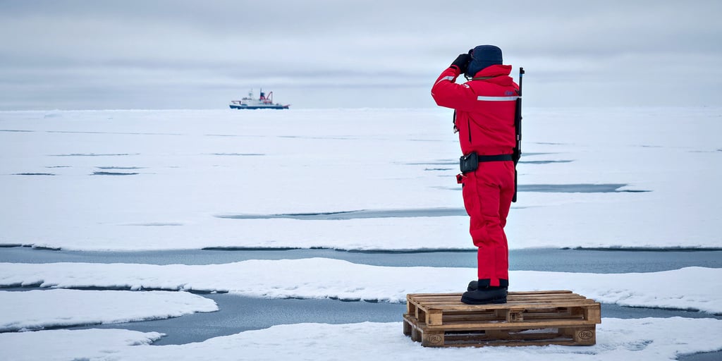 Der Magdeburger Mathematiker Prof. Thomas Richter bei der Eisbärenwache.