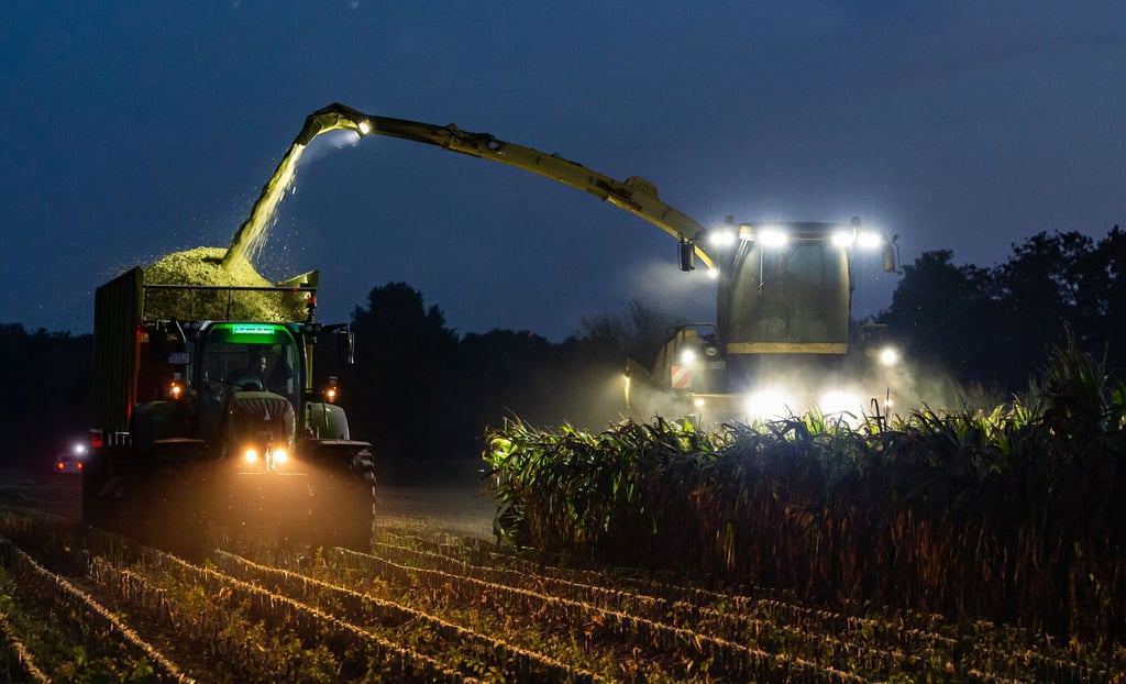 Ein Feldhäcksler erntet Maispflanzen für eine Biogasanlage und befördert diese zerkleinert auf einen daneben fahrenden Traktor mit Anhänger.