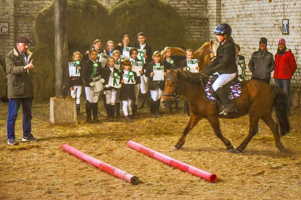 Der Pferdesportverein Geiseltal hat eine Woche mit Ferienkindern für das Reitabzeichen geübt. Dann folgte die Prüfung.