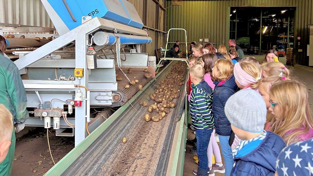 Wie die Kartoffel von Acker bis zum Verbraucher kommt, das lernten die Kinder der Kroppenstedter Grundschule im Rahmen von Projekttagen. Dazu gehörte auch der Besuch bei einem landwirtschaftlichen Betrieb.