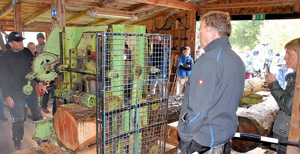 Ein Douglasienstamm wird beim Tag der offenen Tür im Schausägewerk Ehrt bei Elbingerode zerlegt.