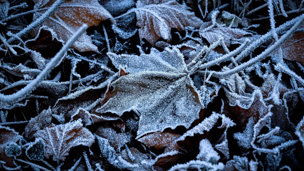 Der Herbst soll Mitte November frostig werden. Nach milden Temperaturen folgen Minusgrade.