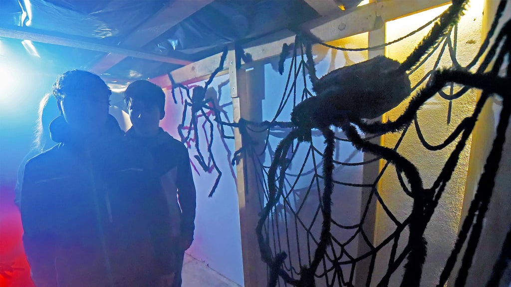 Lotta, Lukas und Steven testen als Erste das neue Grusellabyrinth in Gatersleben aus. Das wird Höhepunkt der Halloweenparty.