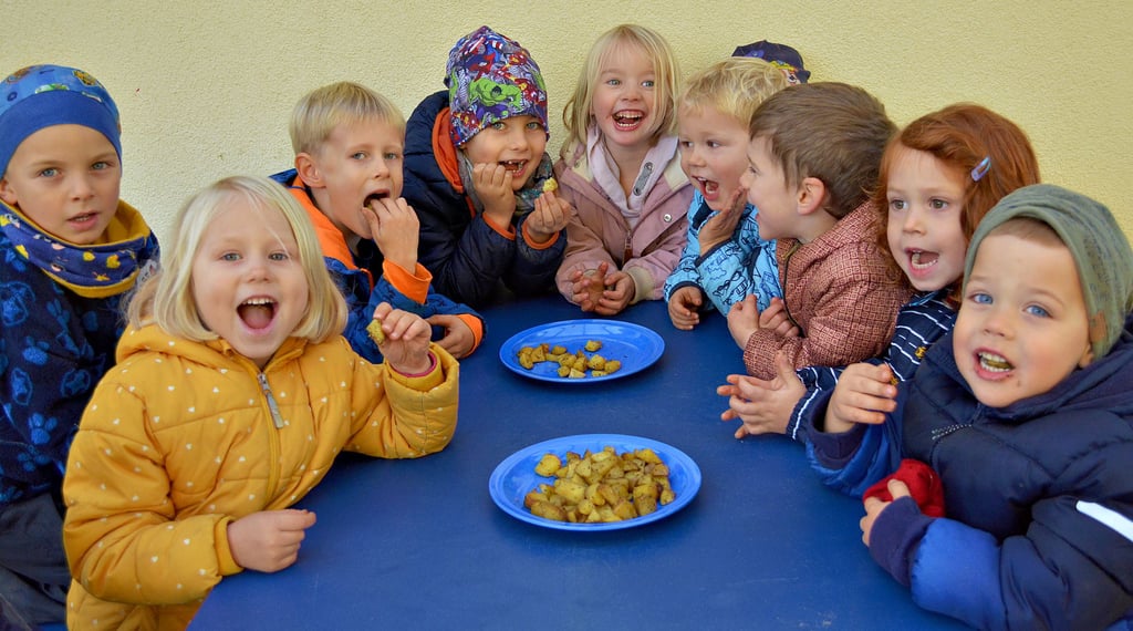Wie gut die Kartoffelspalten schmecken! Die Elbräuber der Kita Arneburg ließen sich die letzten Erntegaben schmecken.