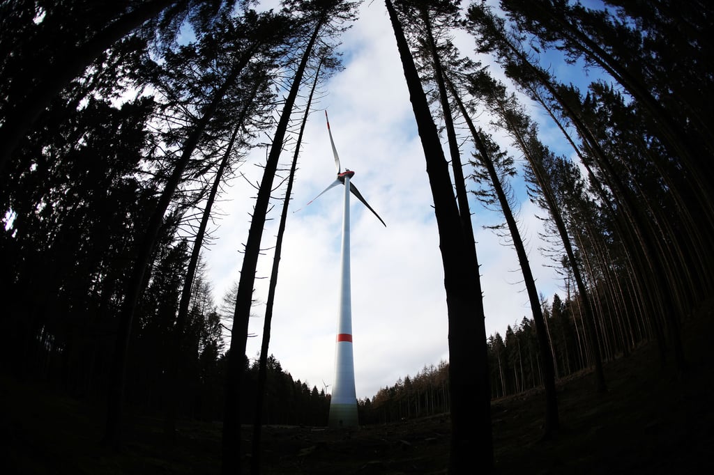 Symbolfoto - Bisher lässt das Waldgesetz von Sachsen-Anhalt keine Windenergieanlagen in Waldgebieten zu, selbst wenn dort kein Wald mehr steht.