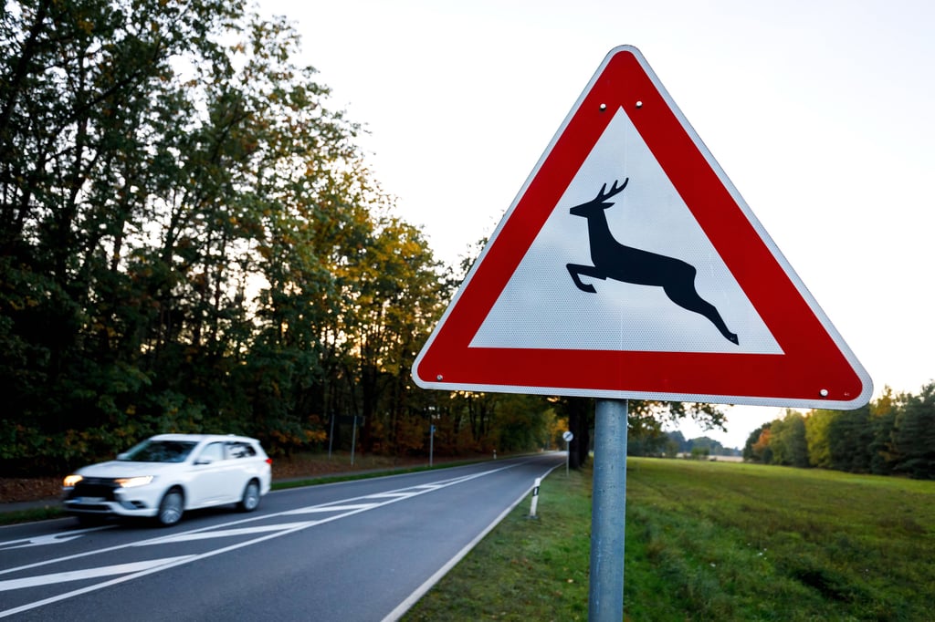 Vor querendem Wild wird gewarnt. In Beetzendorf ließ sich der Unfall mit einem Reh, das die Fahrbahn überquerte, allerdings nicht mehr verhindern.