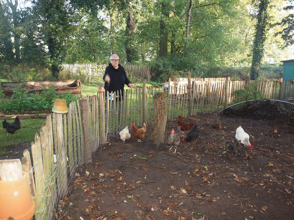 Eine kleine Auszeit vom Organisieren gönnte sich Christa Ringkamp beim Eiersuchen und Füttern der Hühner im Garten.