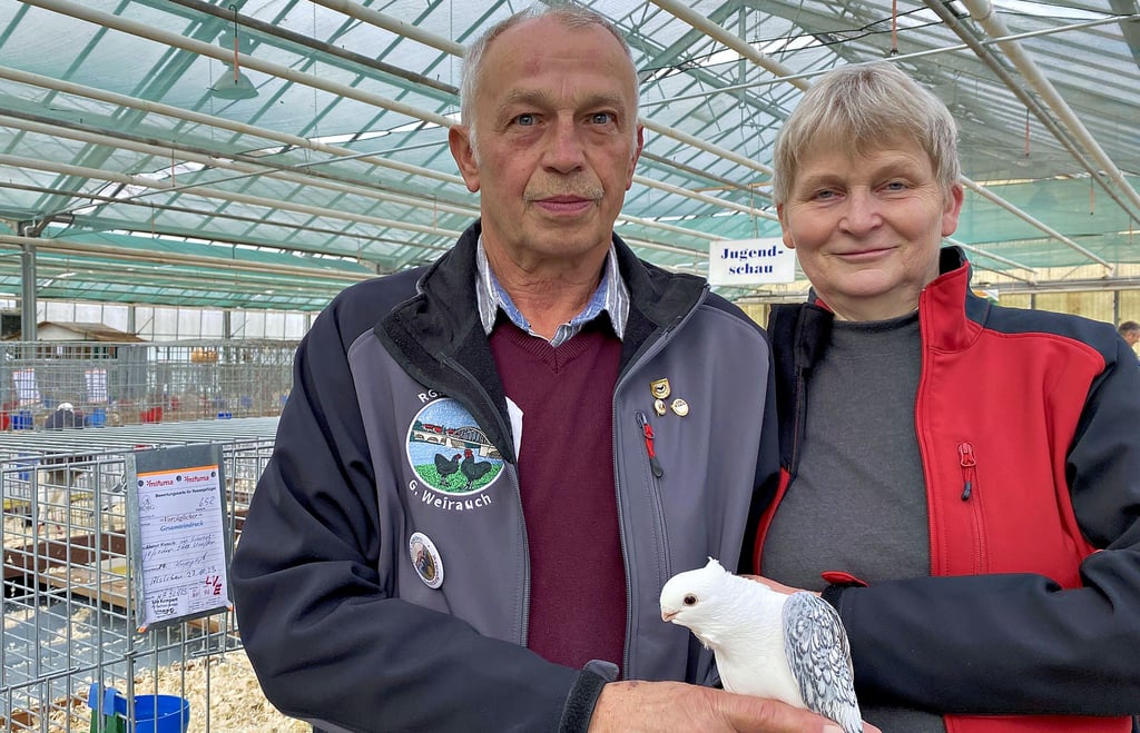 Günter und Marion Weirauch aus Alsleben sind seit Jahrzehnten Taubenzüchter.