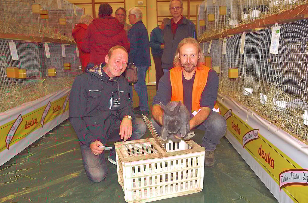 Jens Krause (vorn rechts) vom Fleetmarker Verein der Rassekaninchenzüchter setzte ein Kaninchen der Rasse Blaue Wiener in die Box, die Mike Wittig aus Kerkuhn nach dem Kauf mitnahm.
